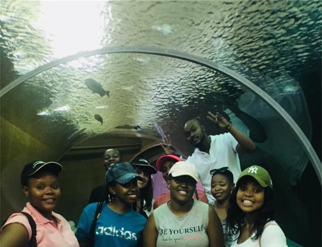 Amazing Race Water Tunnel Johannesburg Zoo Amazing Race and MasterChef
